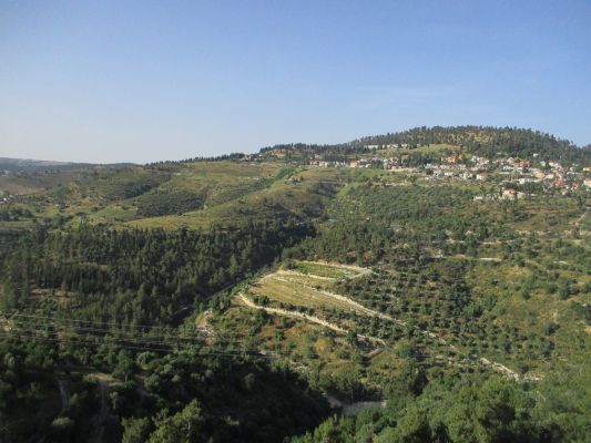 מצפה הארי