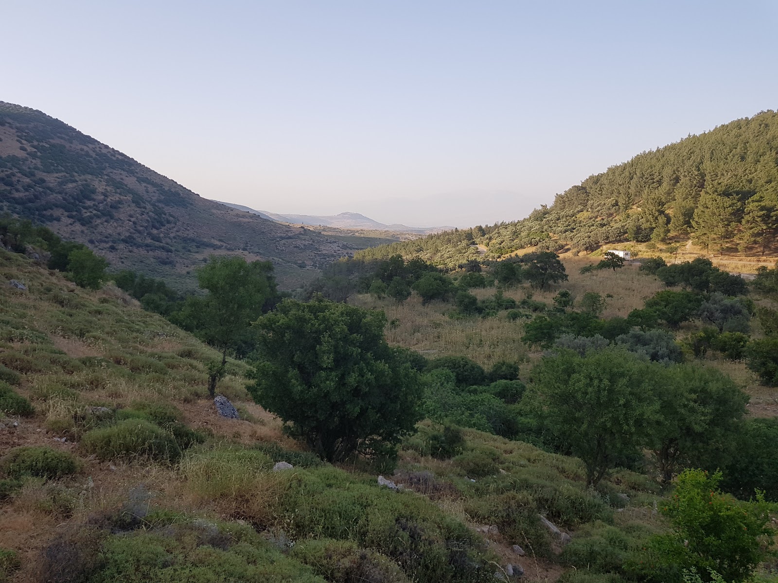 קבר רבי יונתן בן עוזיאל