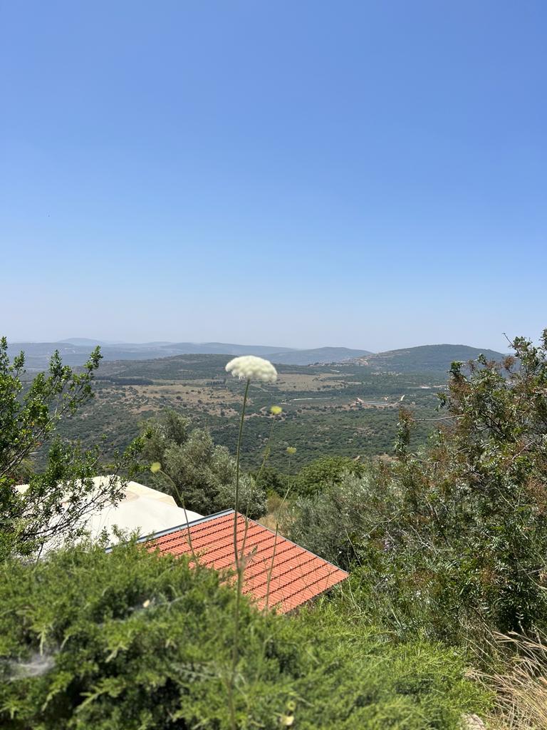 חורש מול כנרת