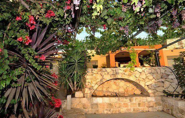בין עצי הדובדבן