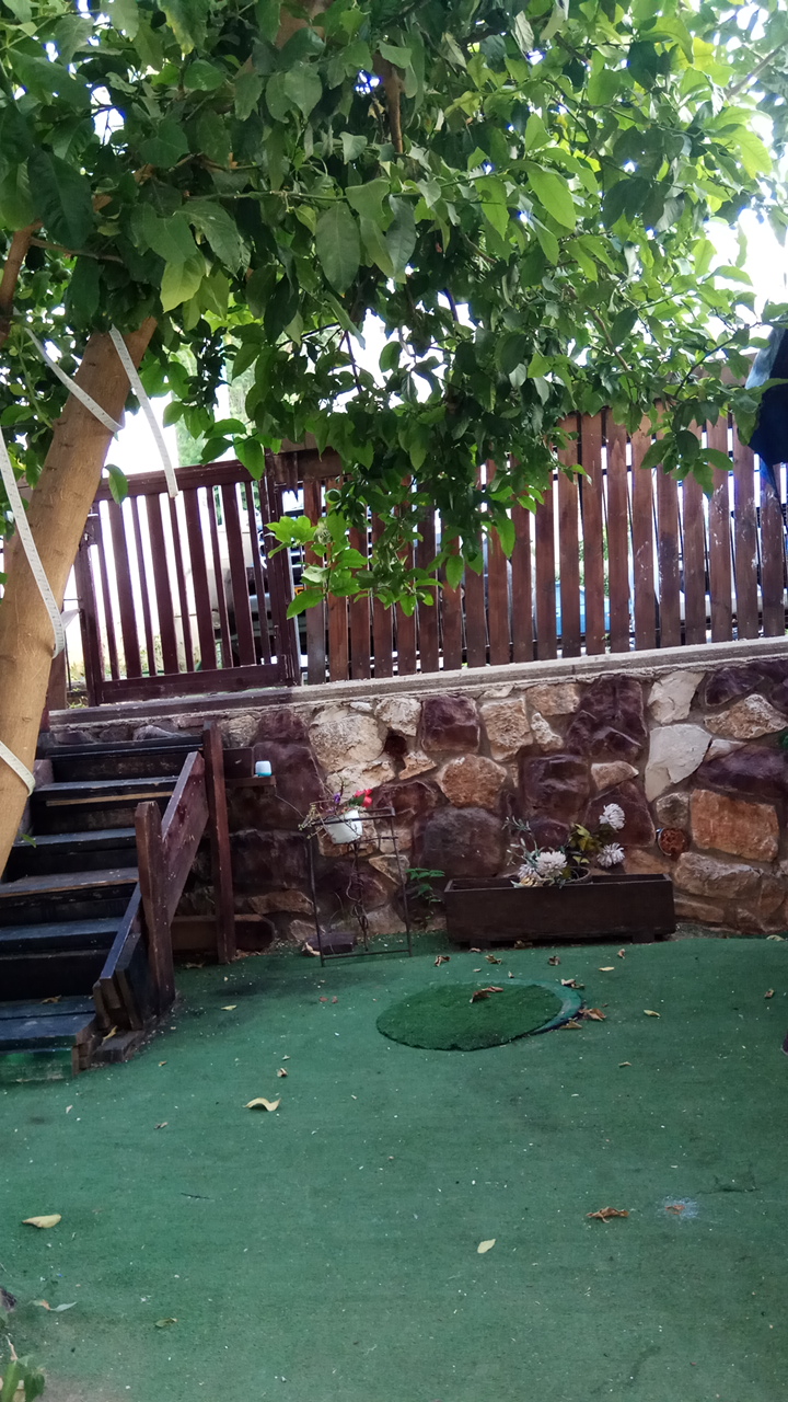 צימר ההחלקות בשלומי. יניב ברדה המחליק של הצפון