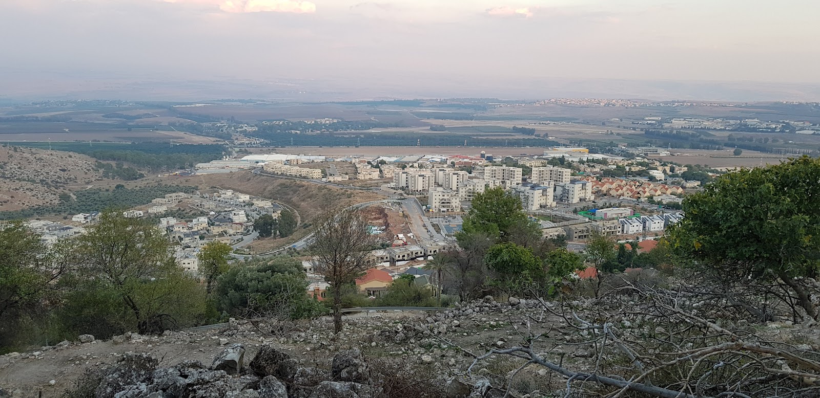 בראש הבוסתן
