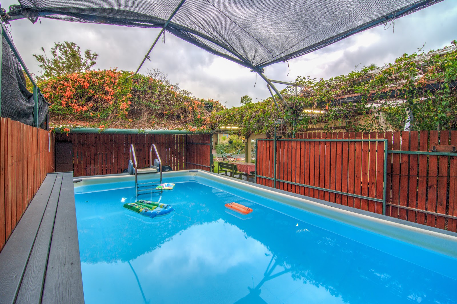 מעוף הציפור, תמונה 3