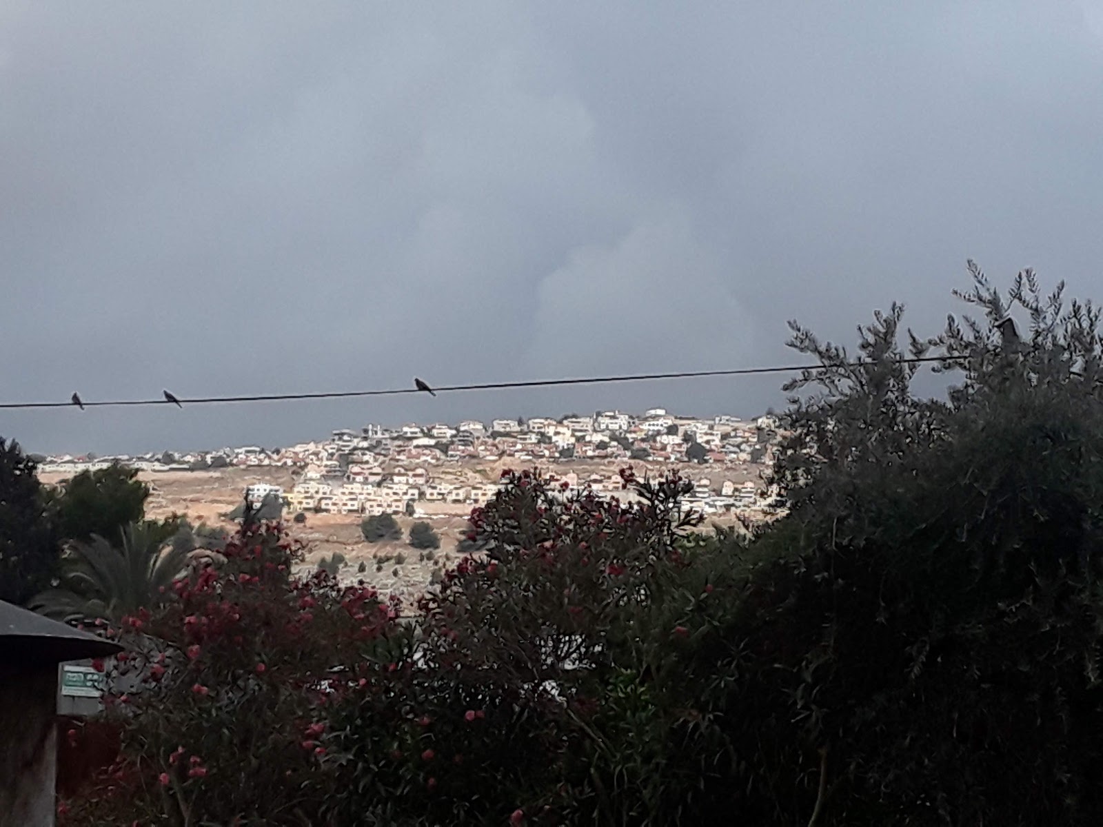 הבית של ענבל