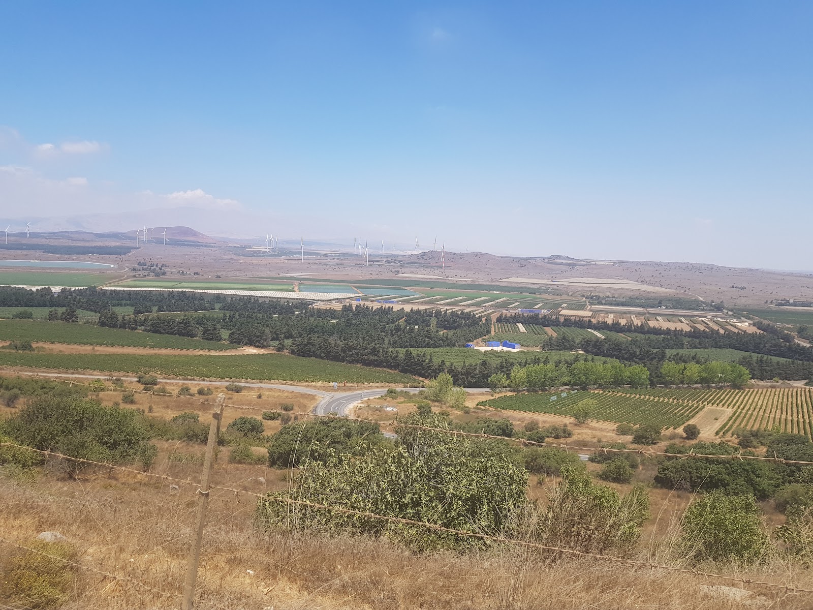 רייזרים כפר בלום