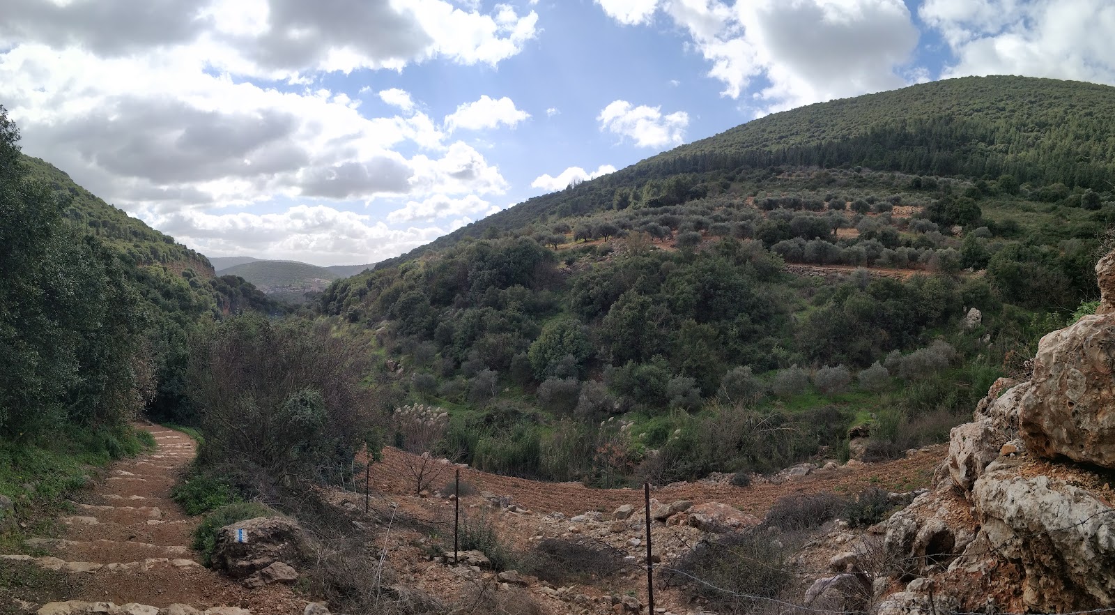 רייזר נחל צלמון ללא מדריך