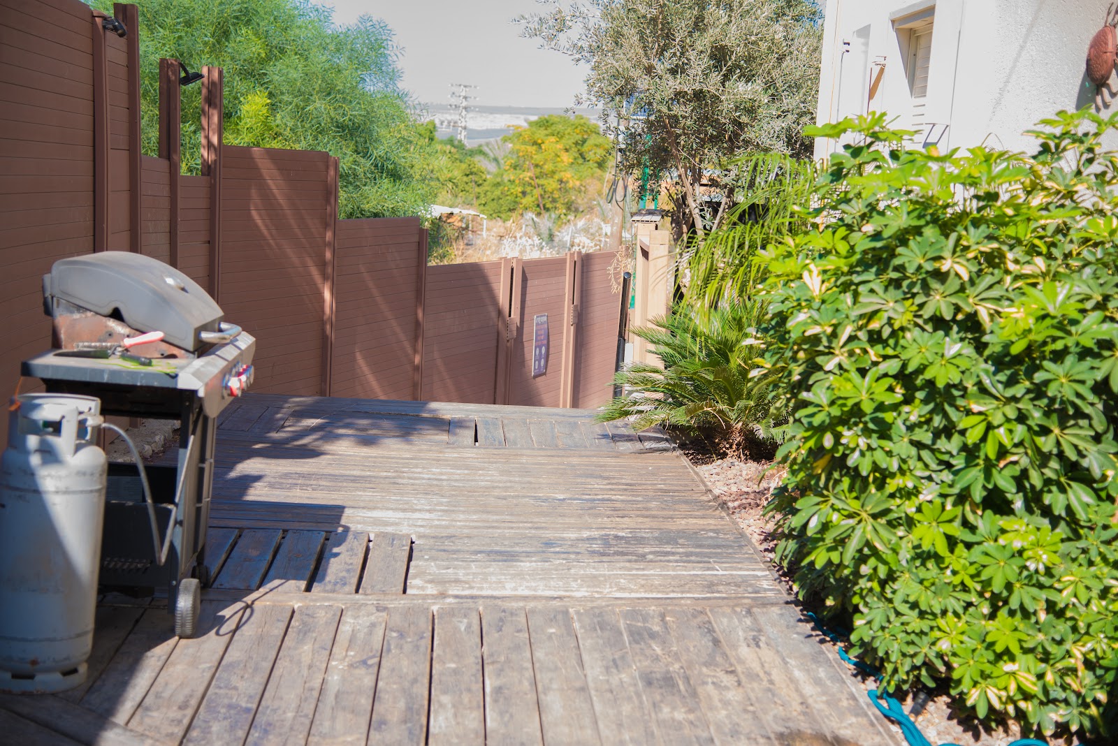 פינה מהלב