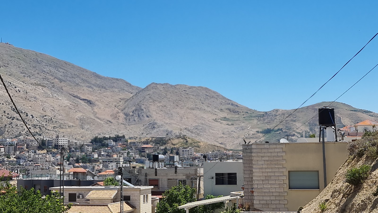 רמי הוטל