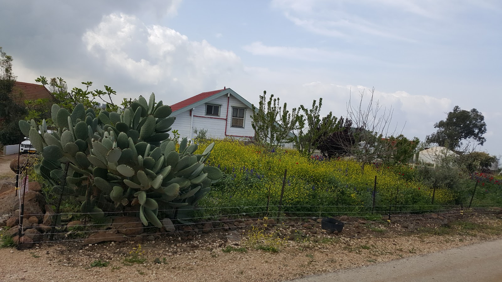 בקתות זיו