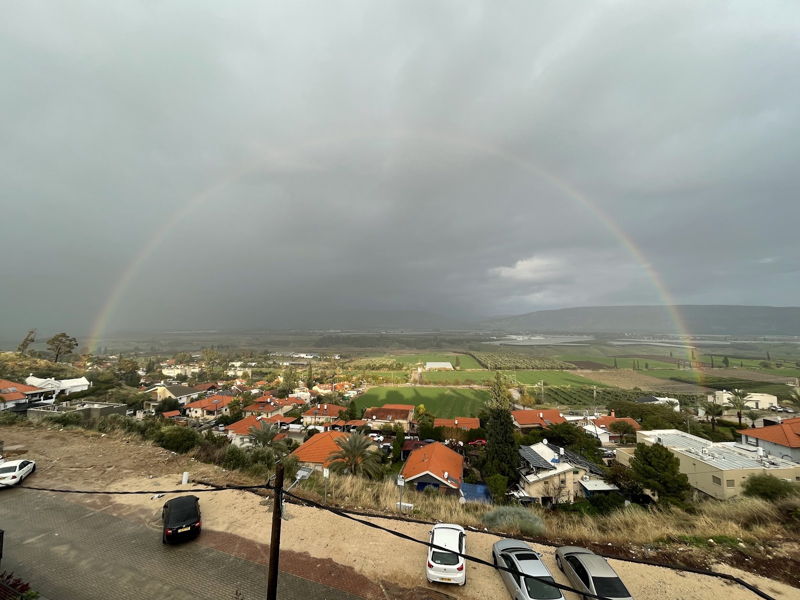סוויטות פלורנס