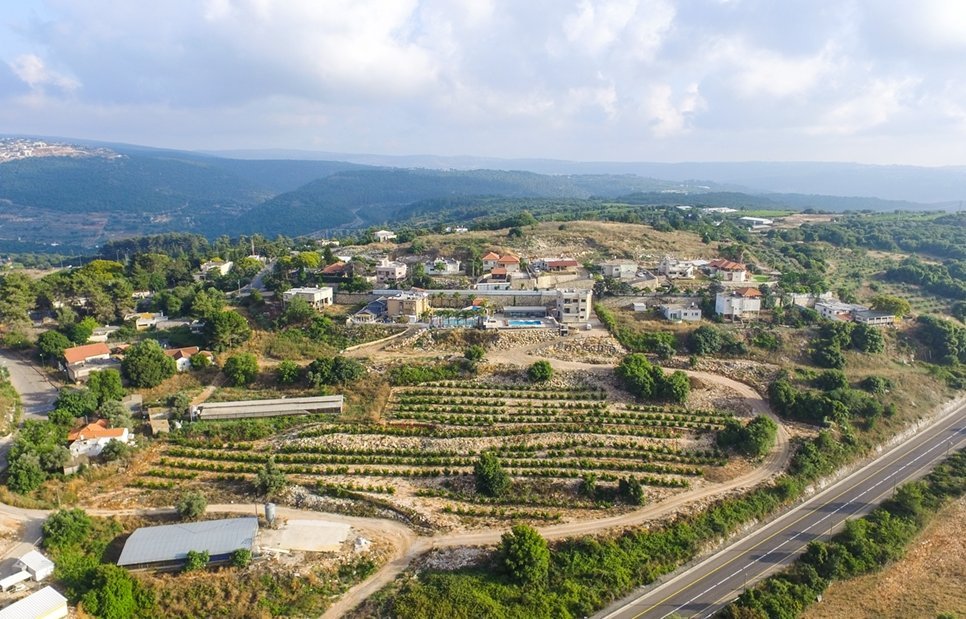 סוויטות מטע כרם