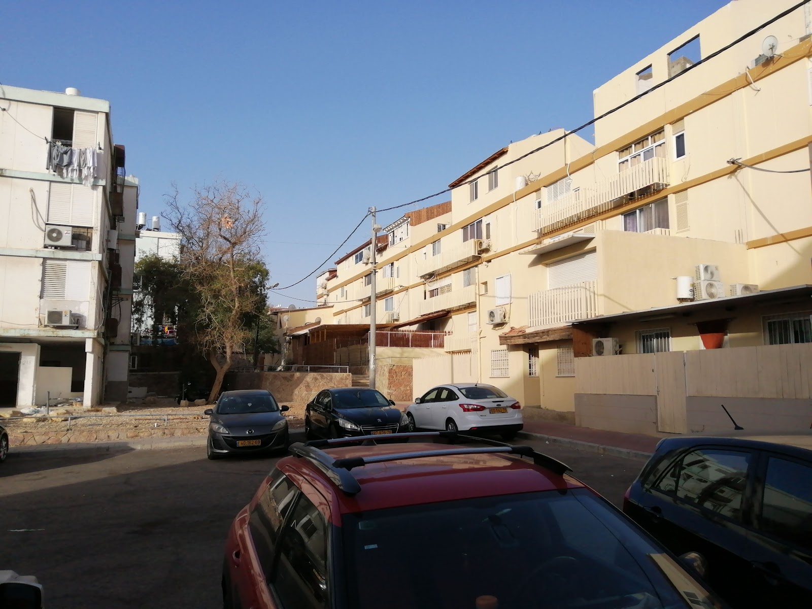 דירת נופש האקליפטוס