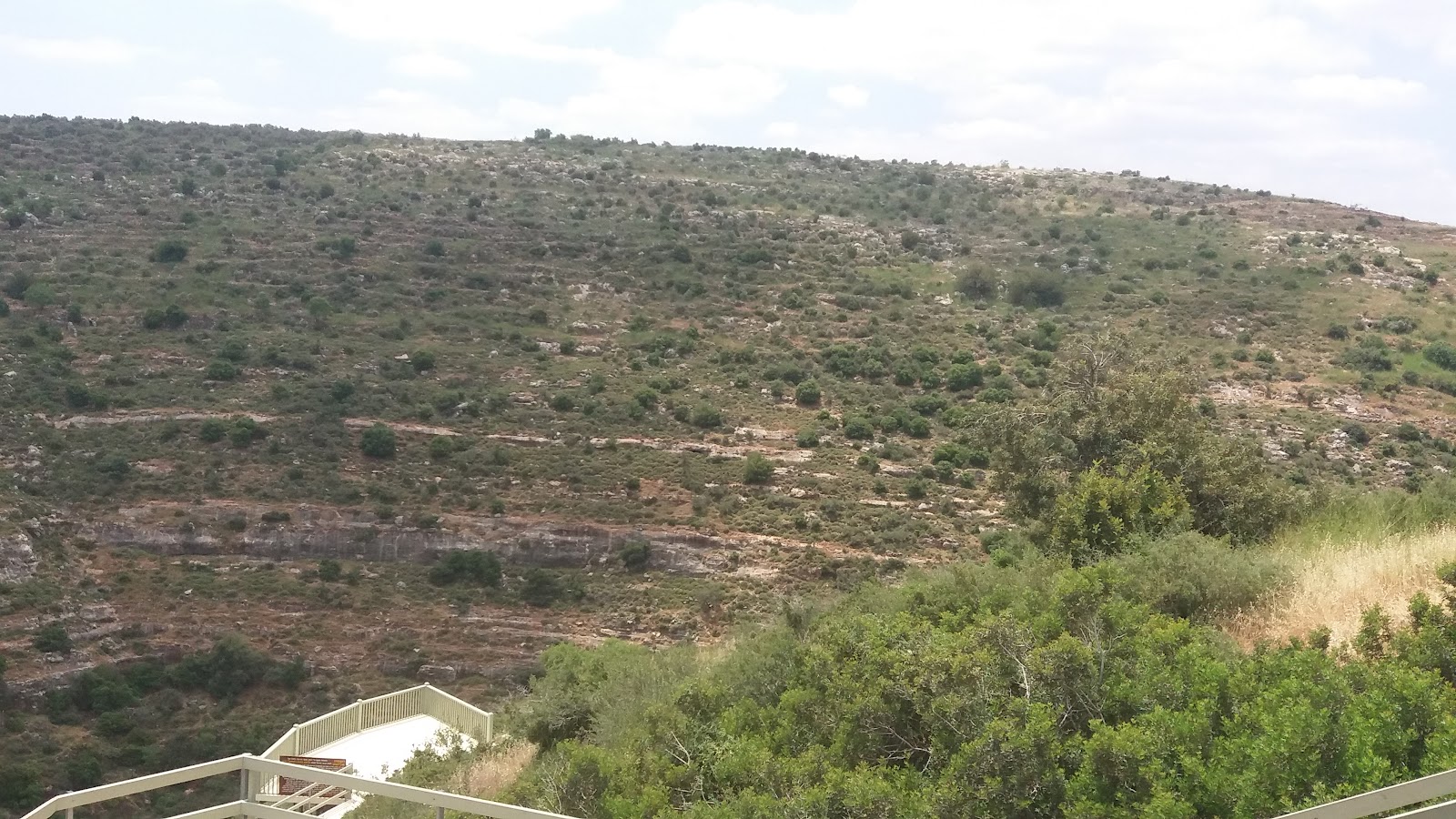 חוות יאיר