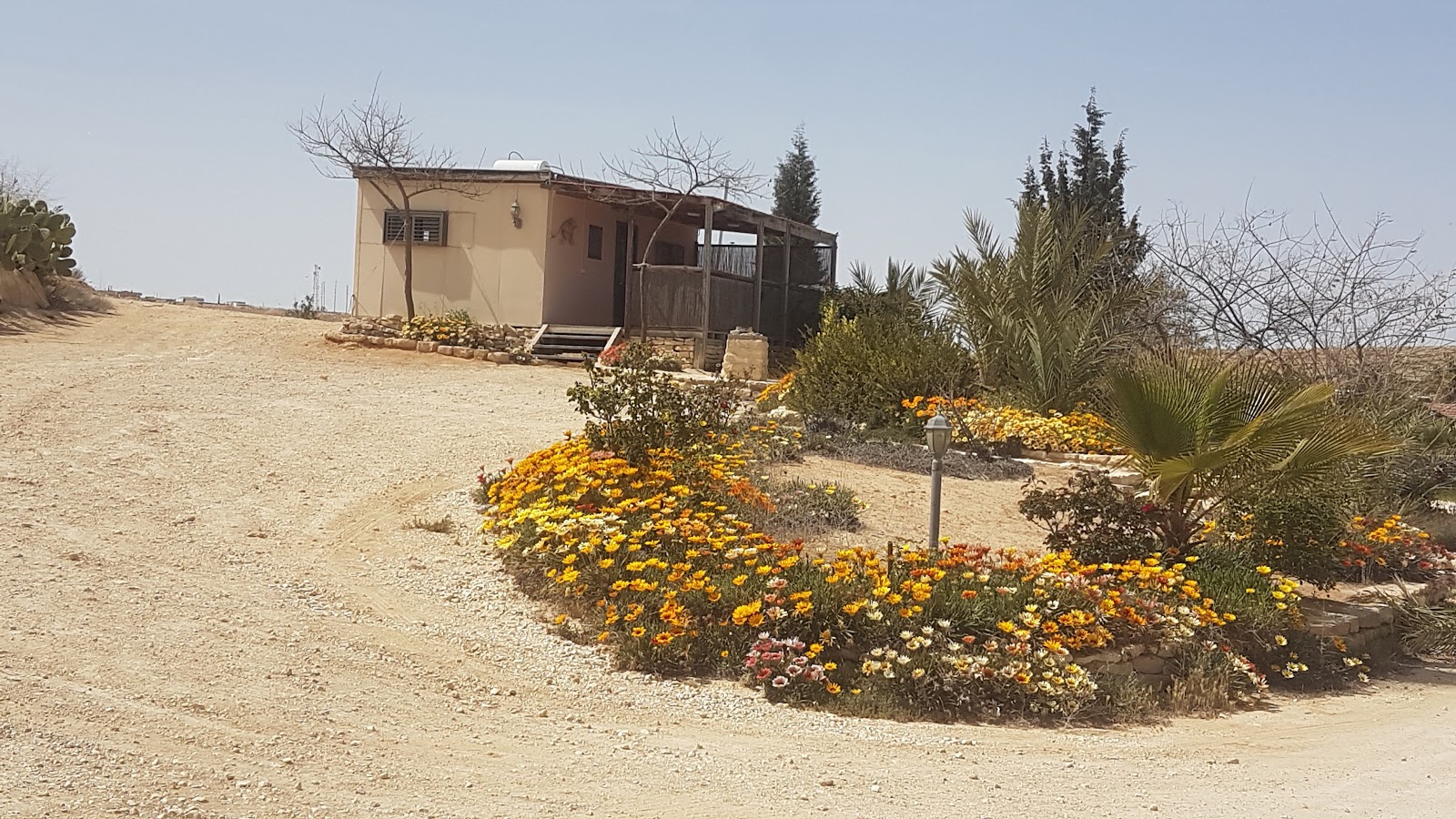 הצימרים של ריקי