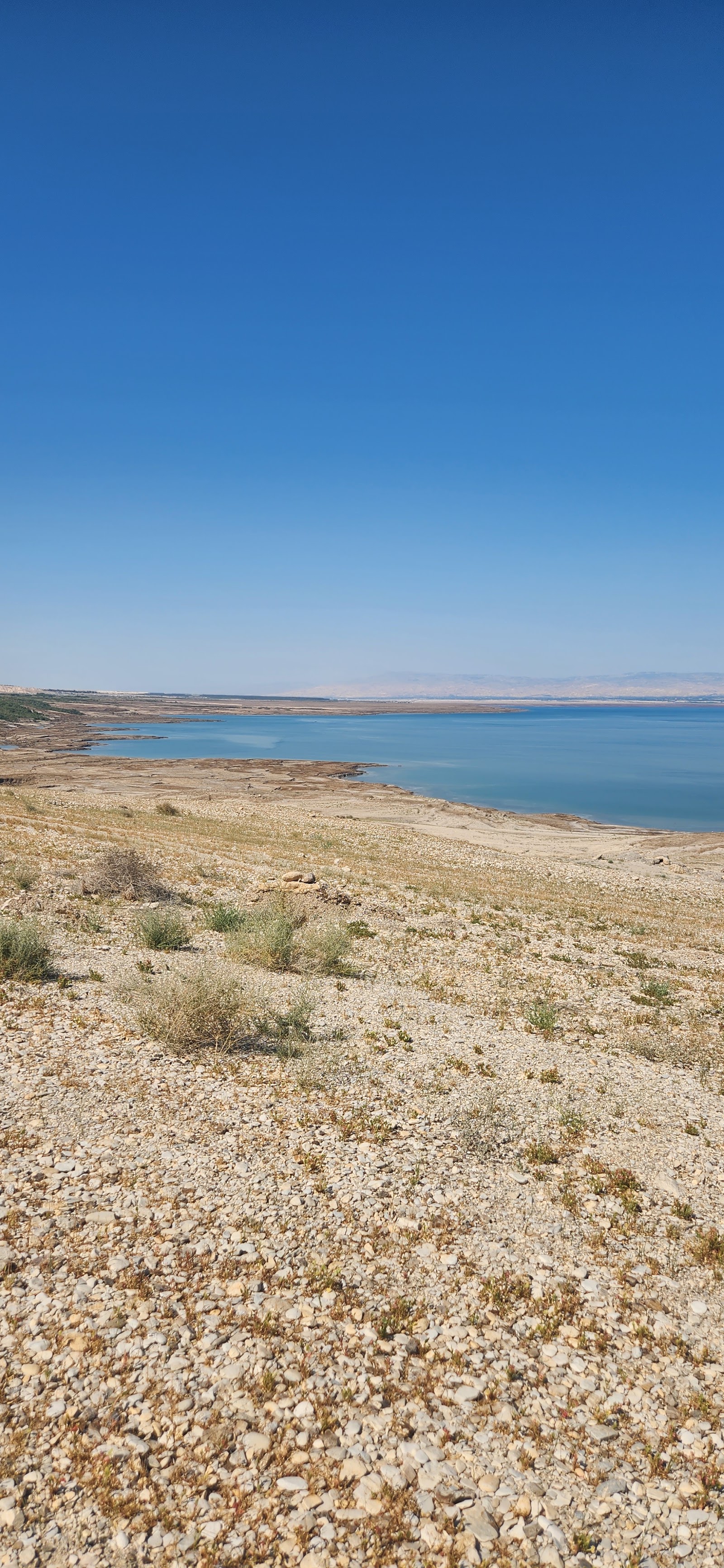 שלווה בים – צימר על גלגלים צמוד לים המלח
