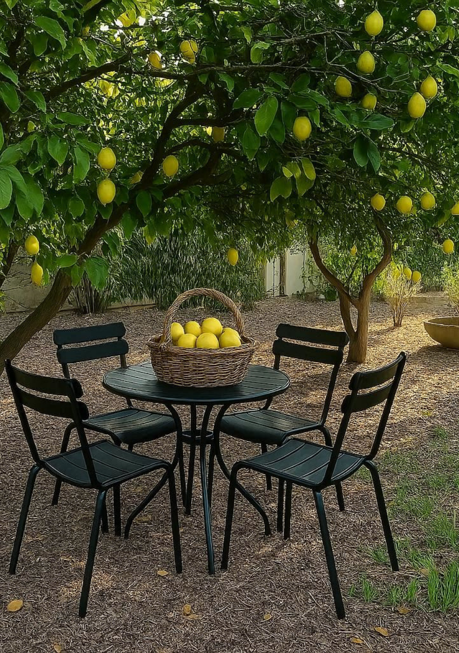 Casa de Limon – צימרים וסוויטות בוטיק בגליל העליון