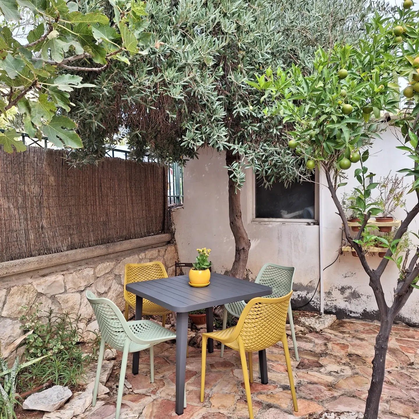 צימר דבש התאנה