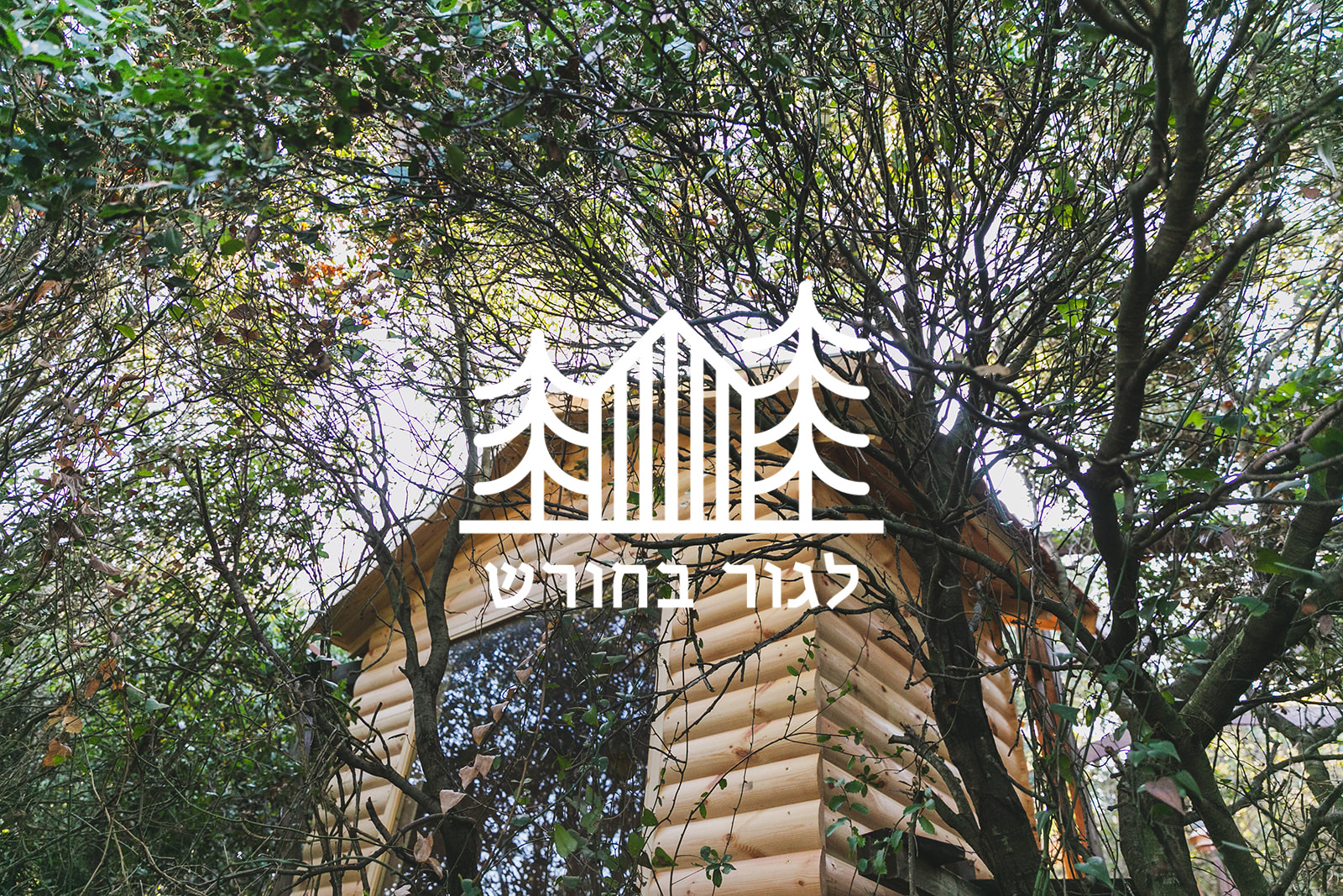 צימר לגור בחורש