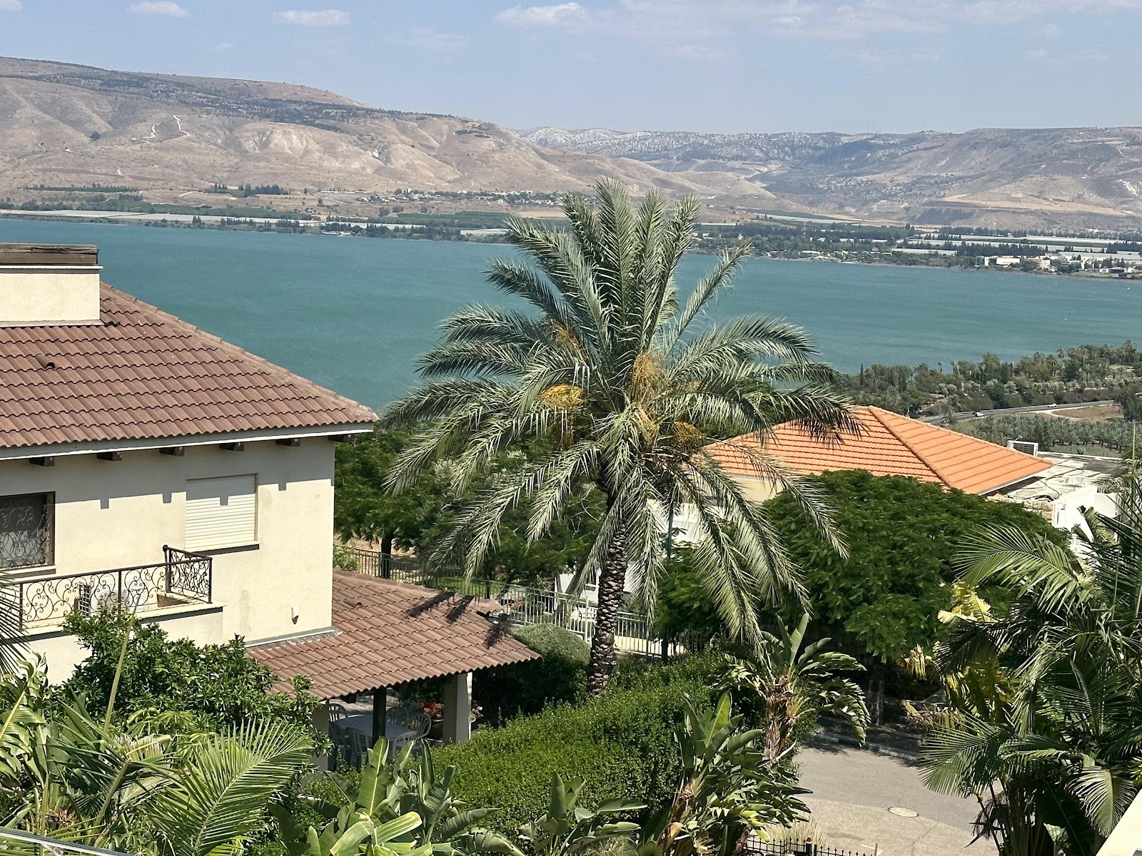 Kinneret View