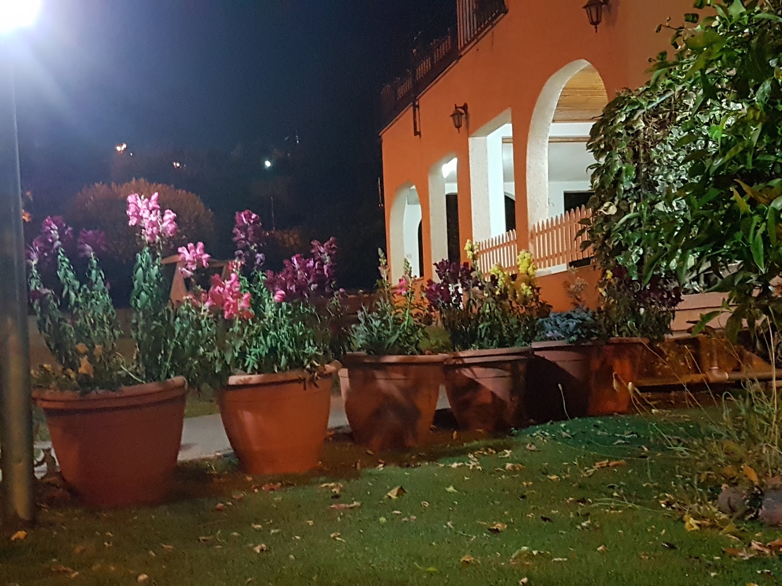 שושנה וחיים איצקוביץ חדרי אירוח
