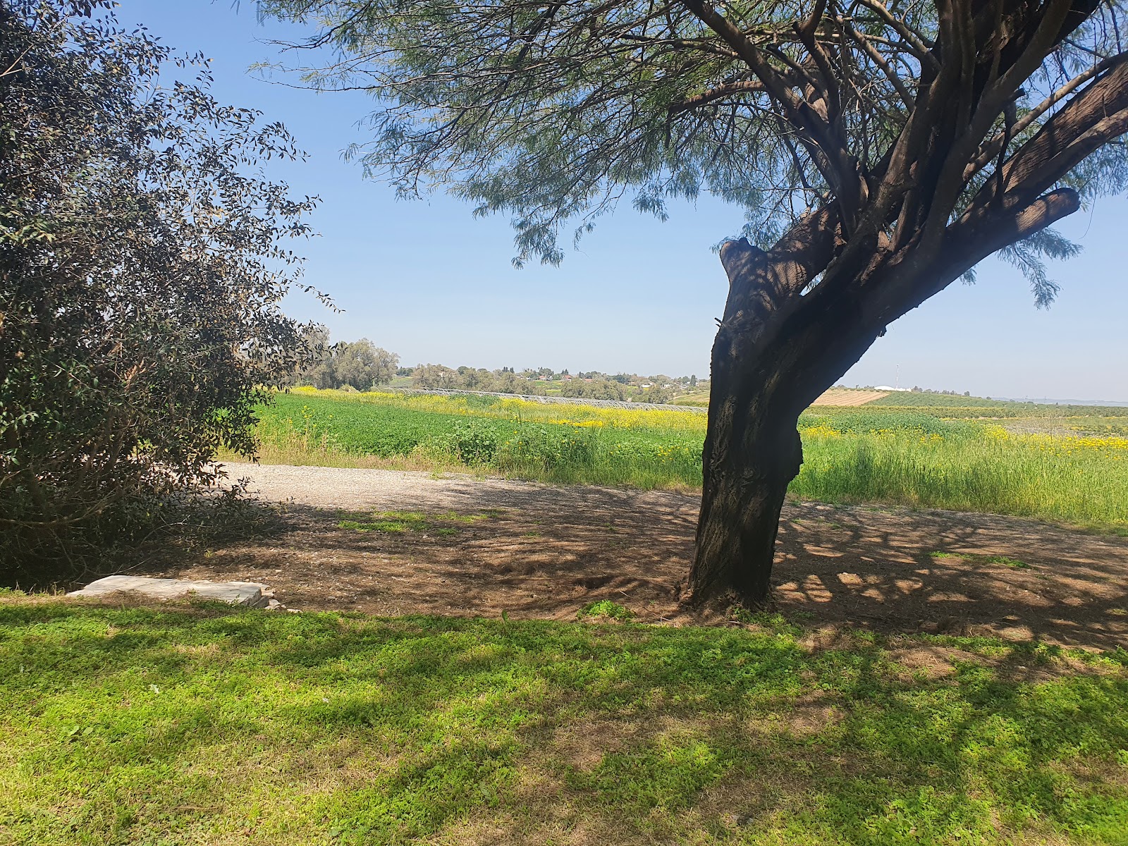 צימרים פינוק אצל פינק
