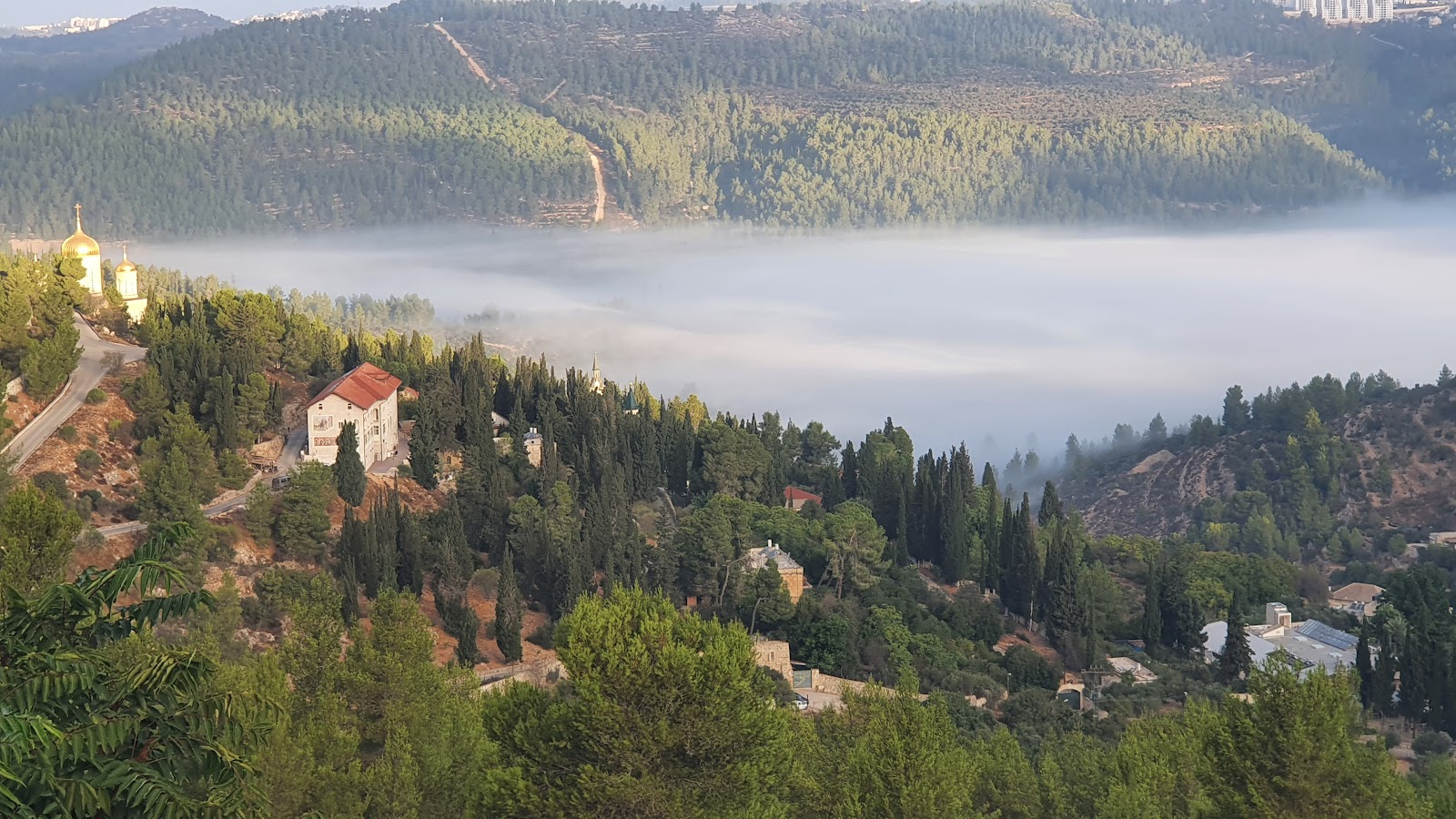 עין כרם | פנינה עין מור