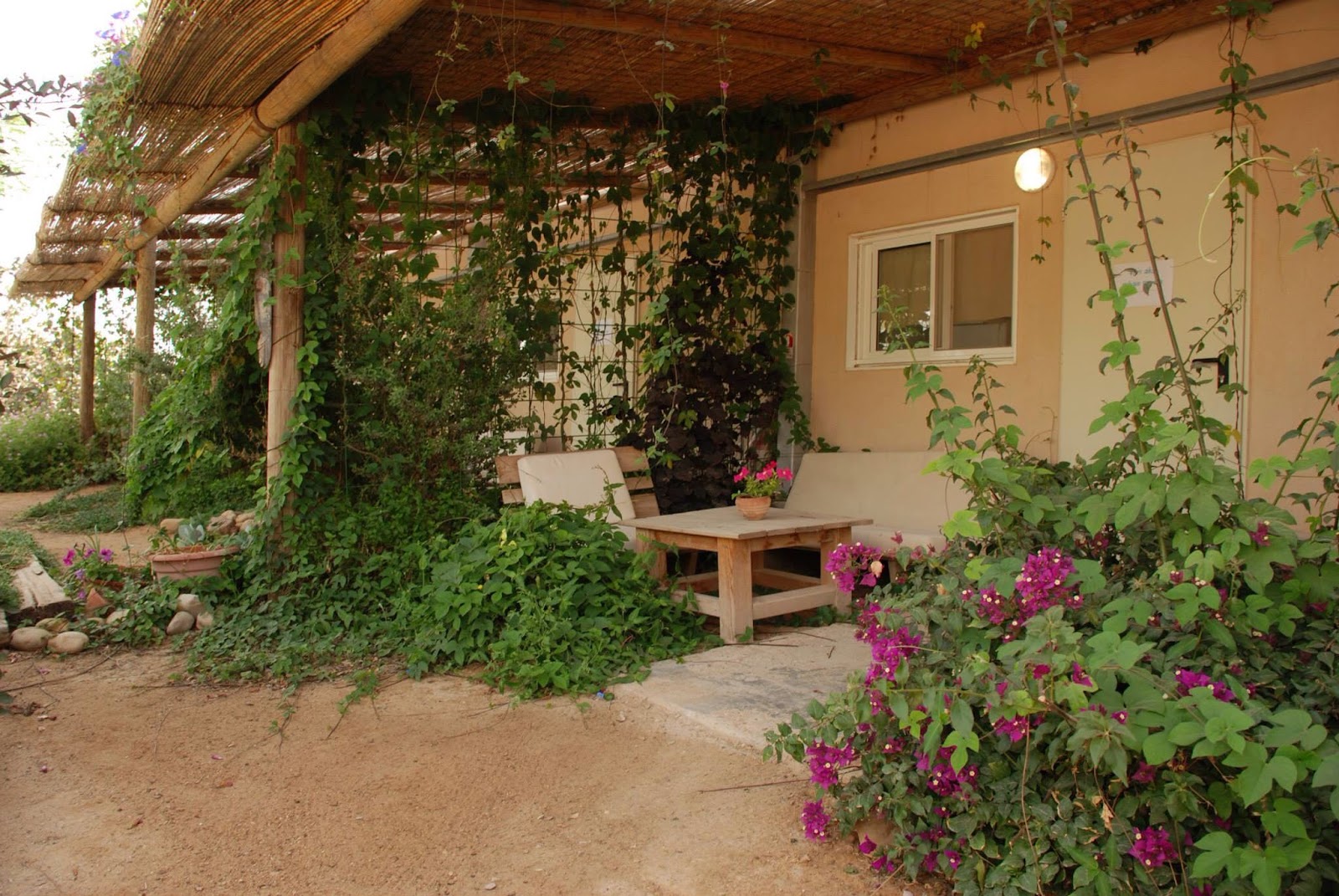 אירוח פארן B&B כפרי בערבה