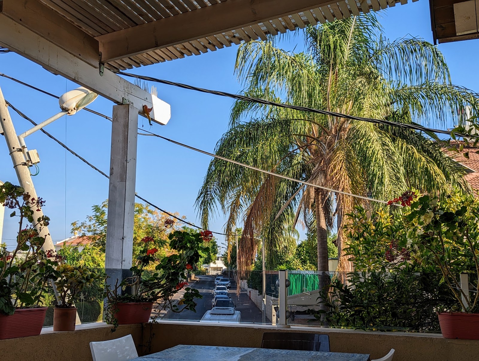 איזראלי הום בית ישראלי Israeli home