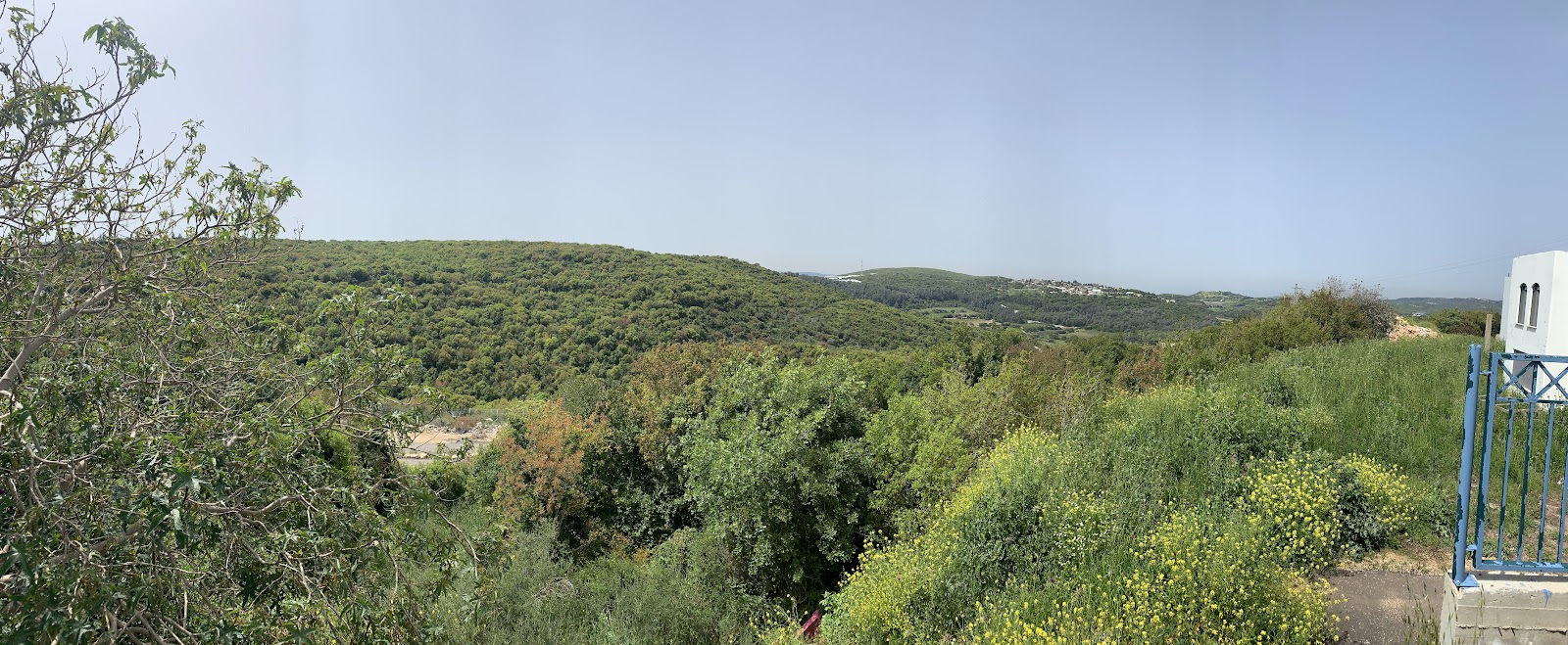 וילה קרולינה