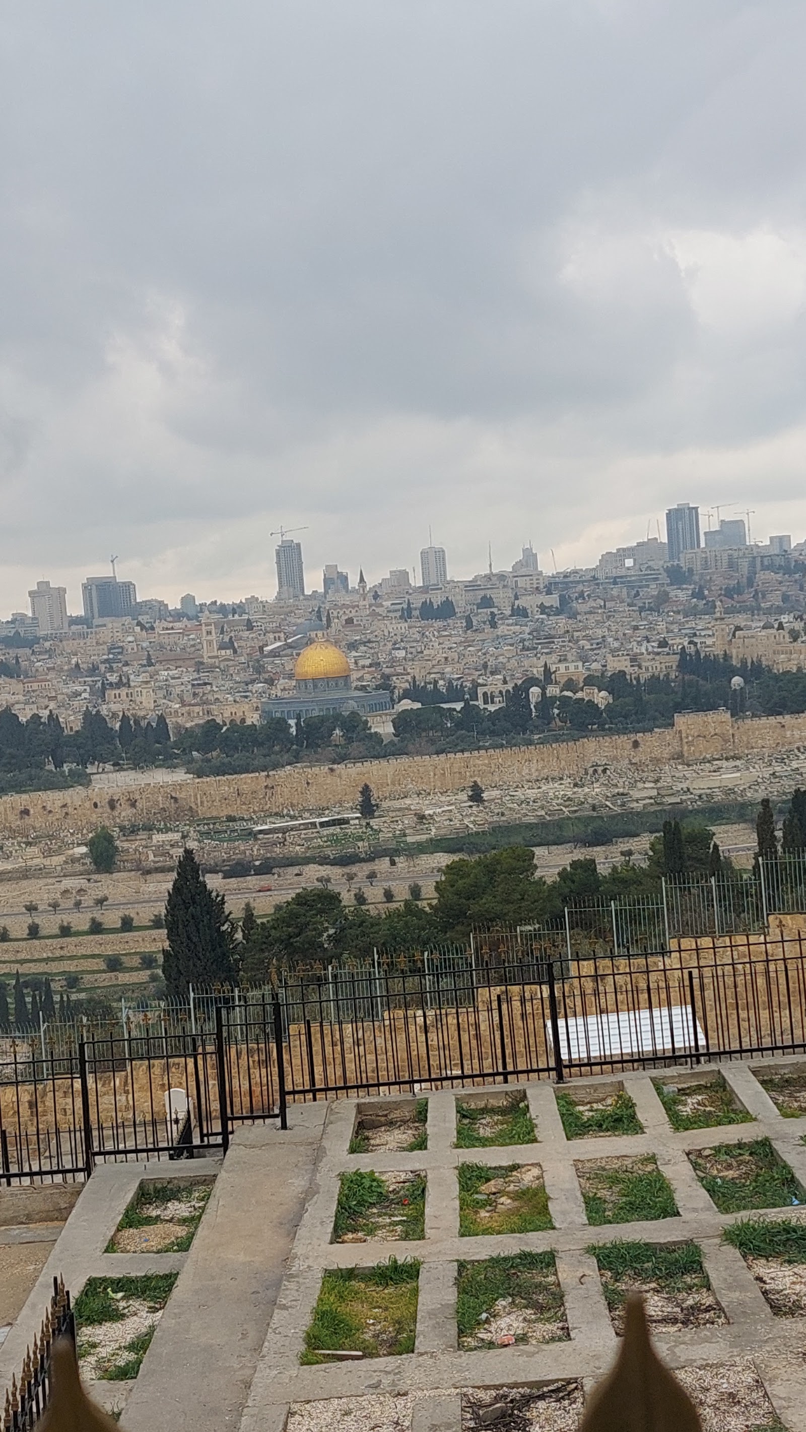 מלון המעיין נצרת