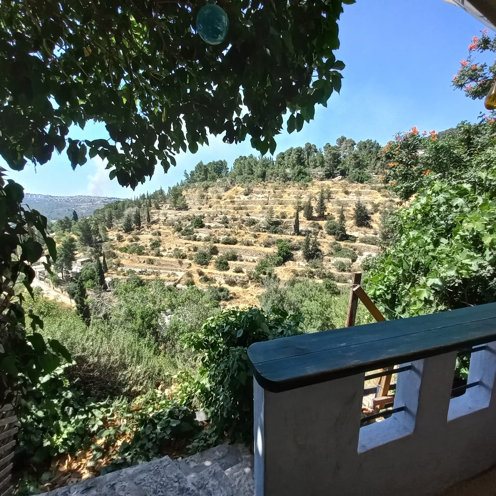 נוף על הוואדי