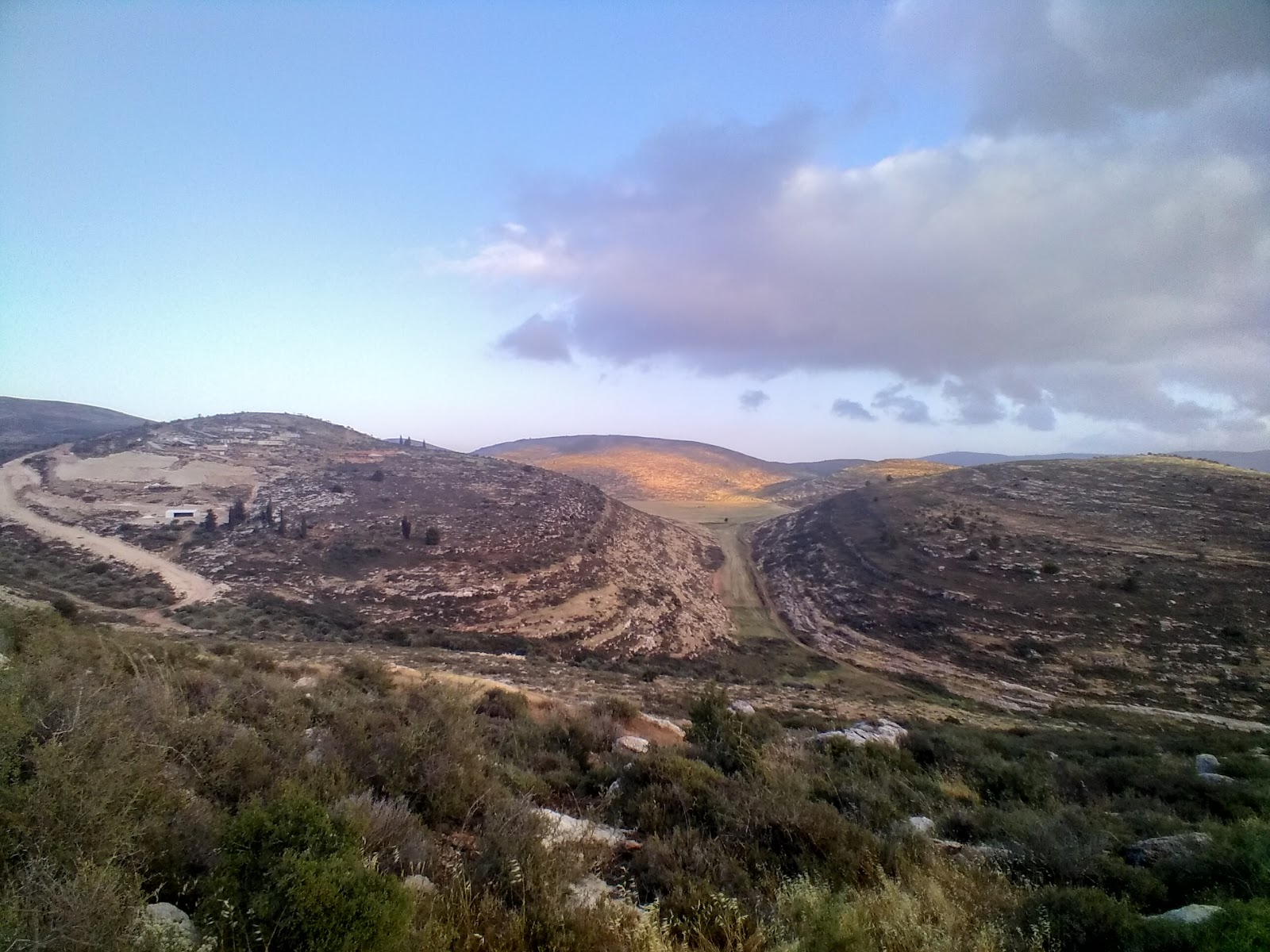 חוות השקדים