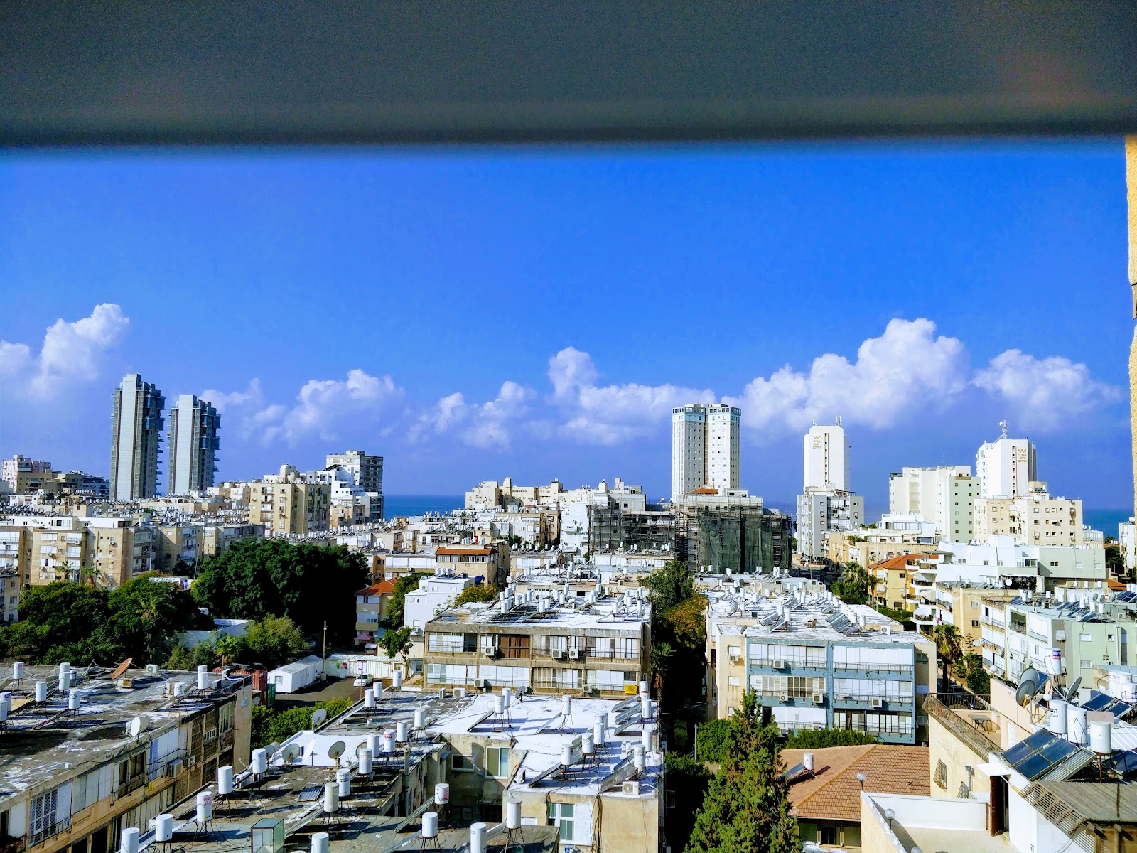 אביטל דירות להשכרה בבת ים