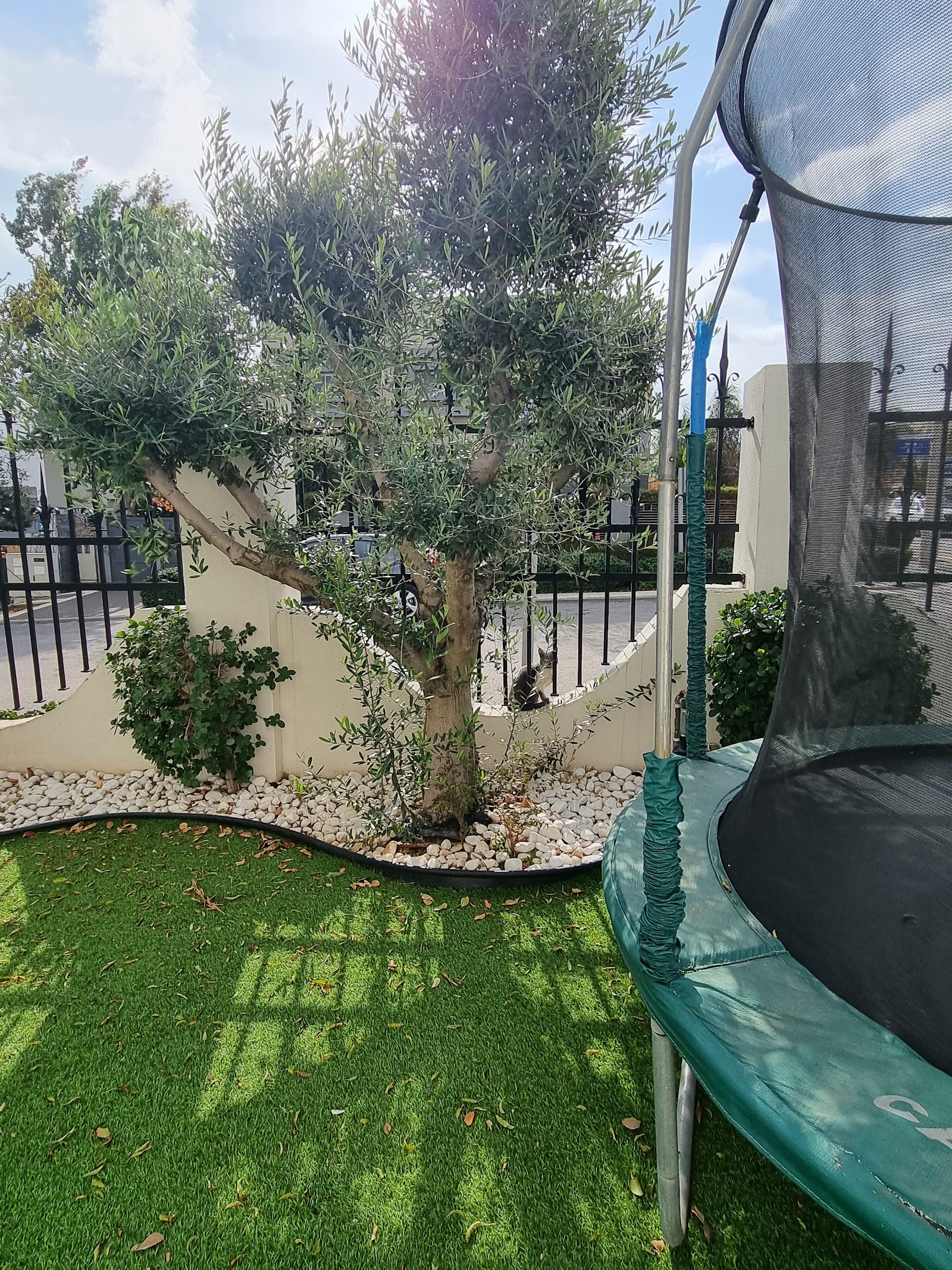 וילה ענבל