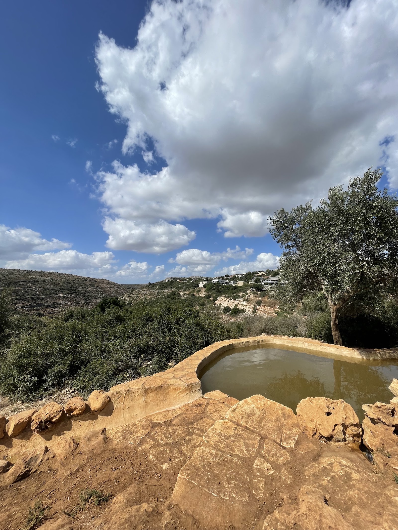 מעיין חוות יאיר