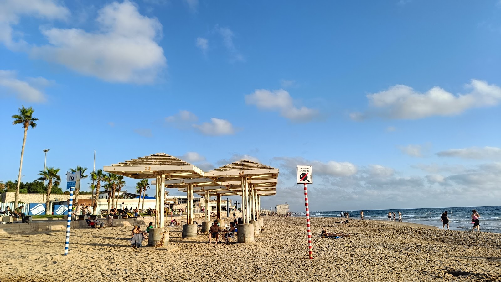 דירות חוף הכרמל