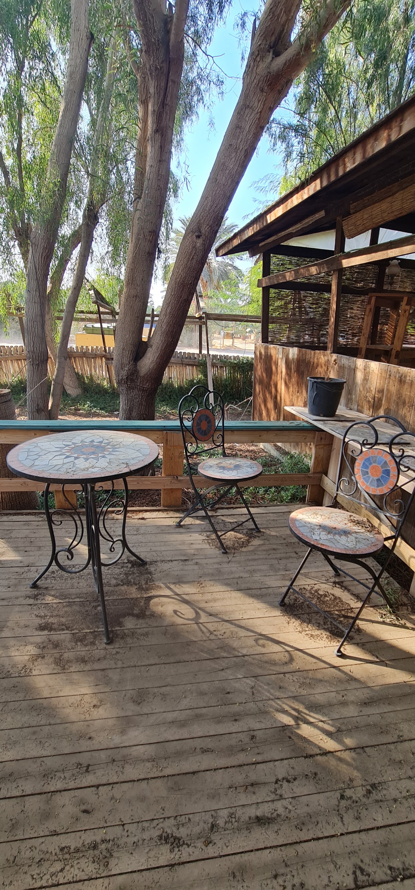 ערבה גארדן Arava garden