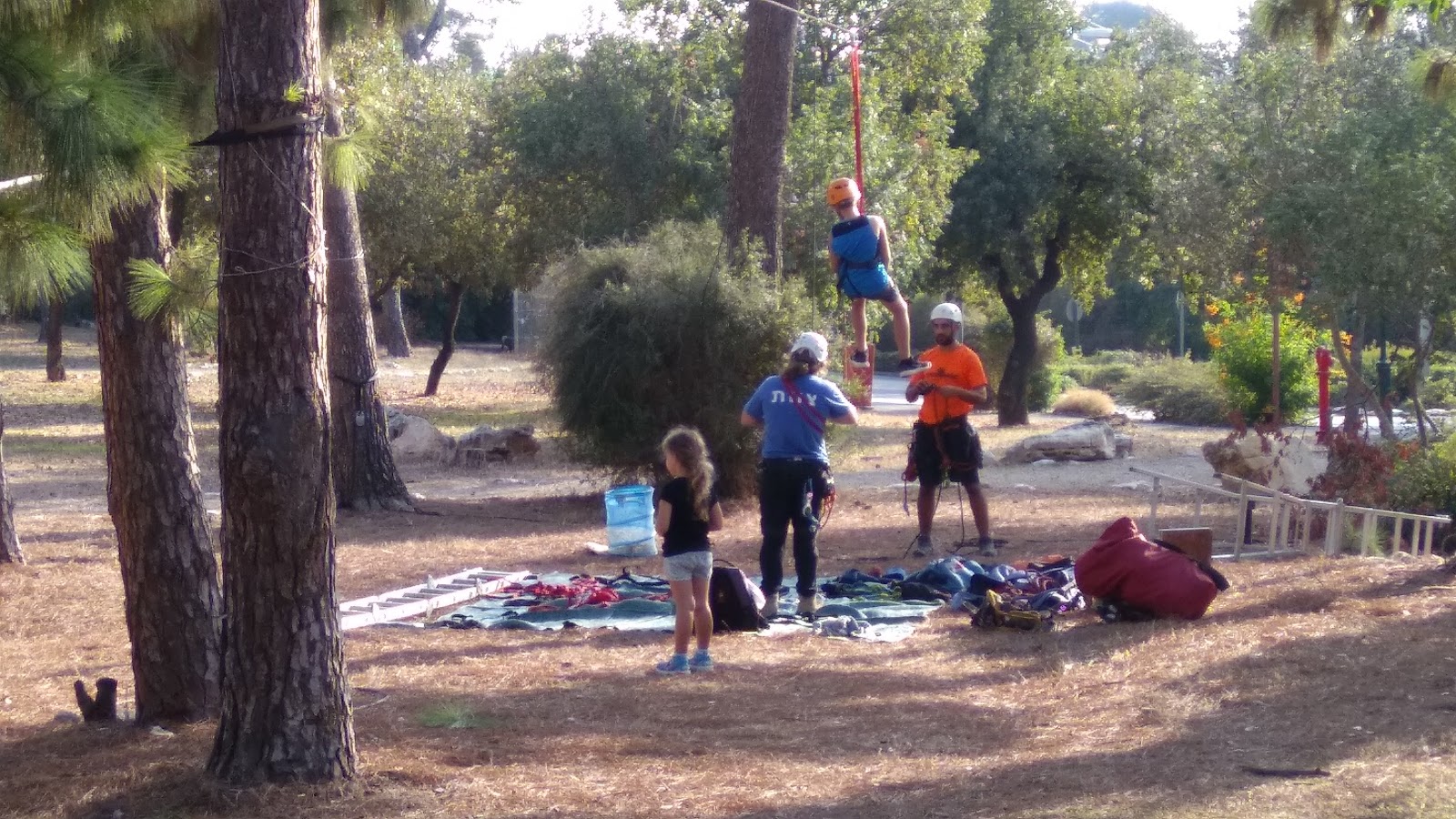 הרשת הקהילתית קרית טבעון