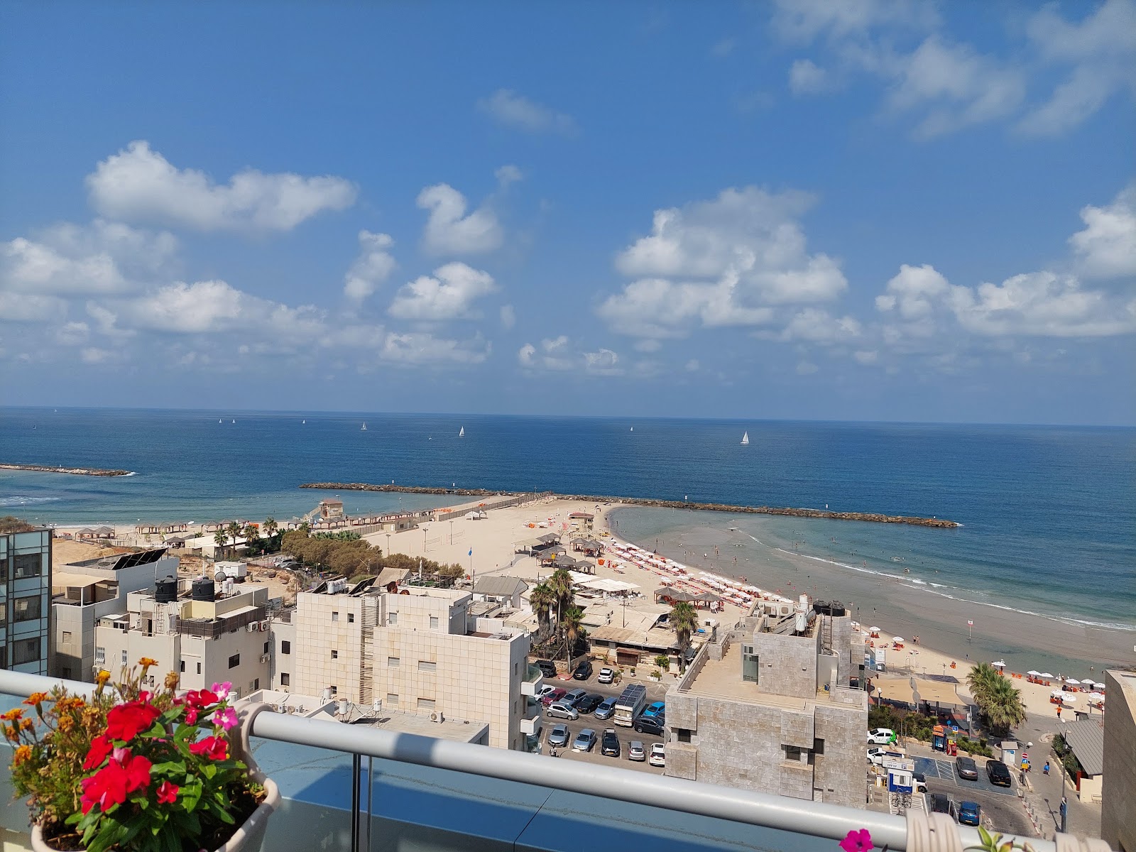 מלון טל