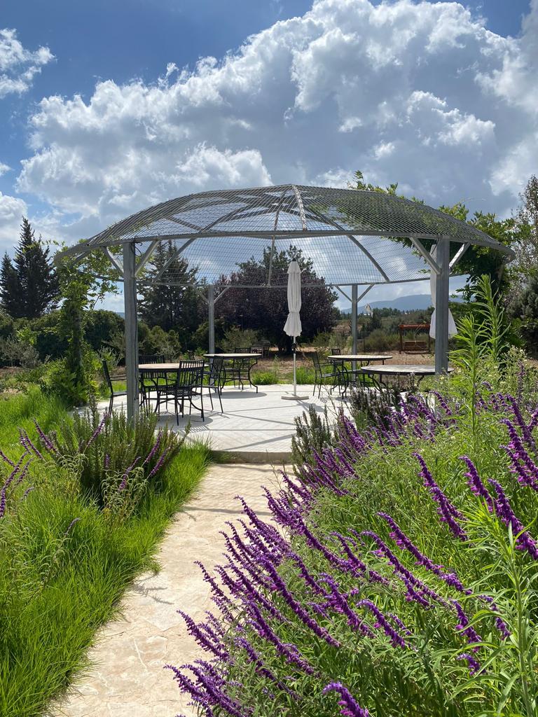 Galil Mountain Winery. יקב הרי גליל