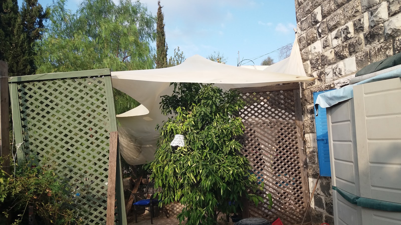 הצפצפה שבע