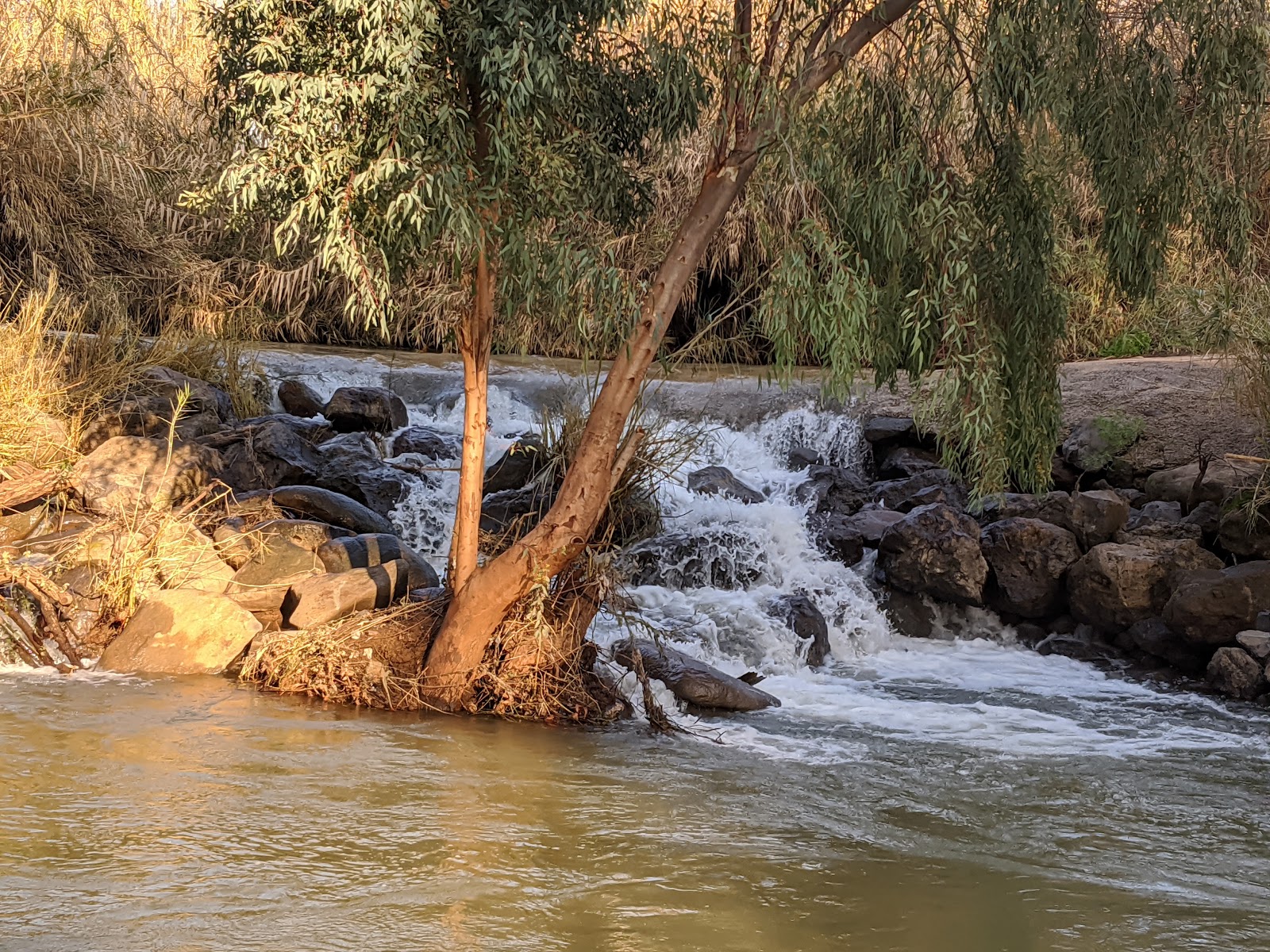 Lehavot Bridge Recreation Area