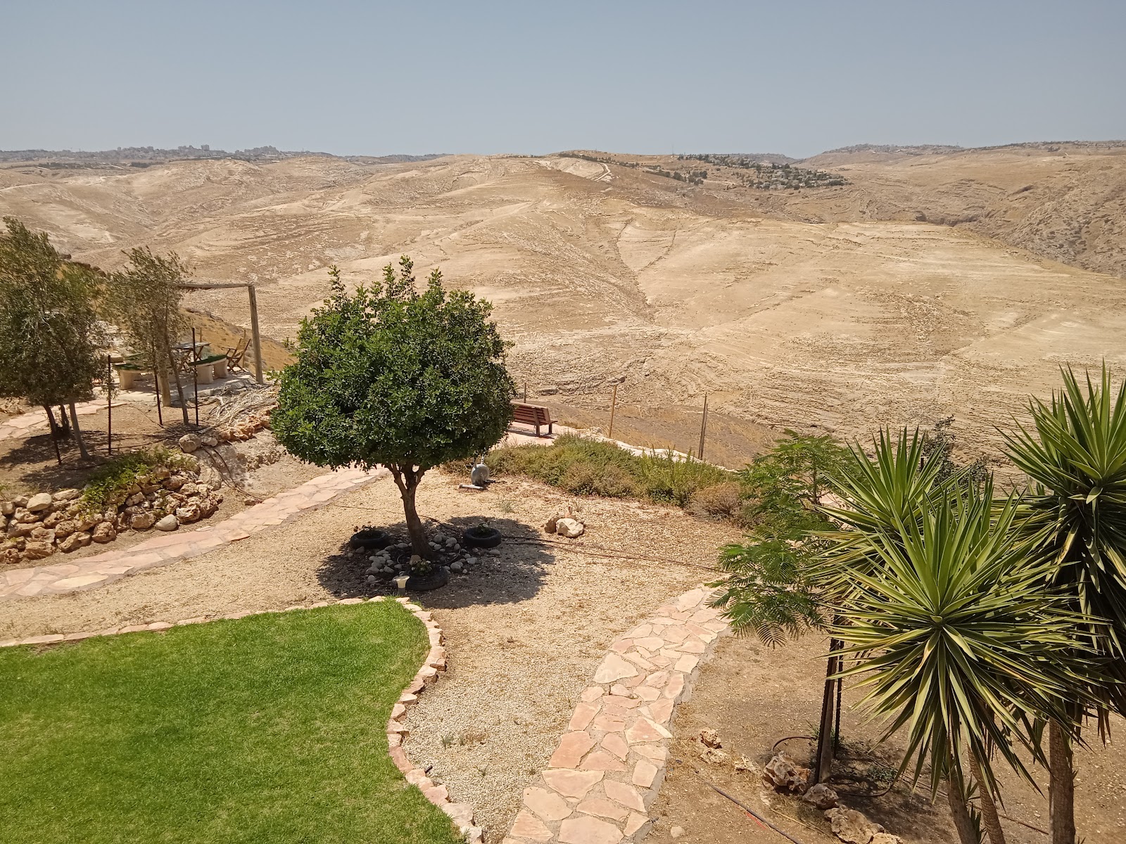 שפת המדבר