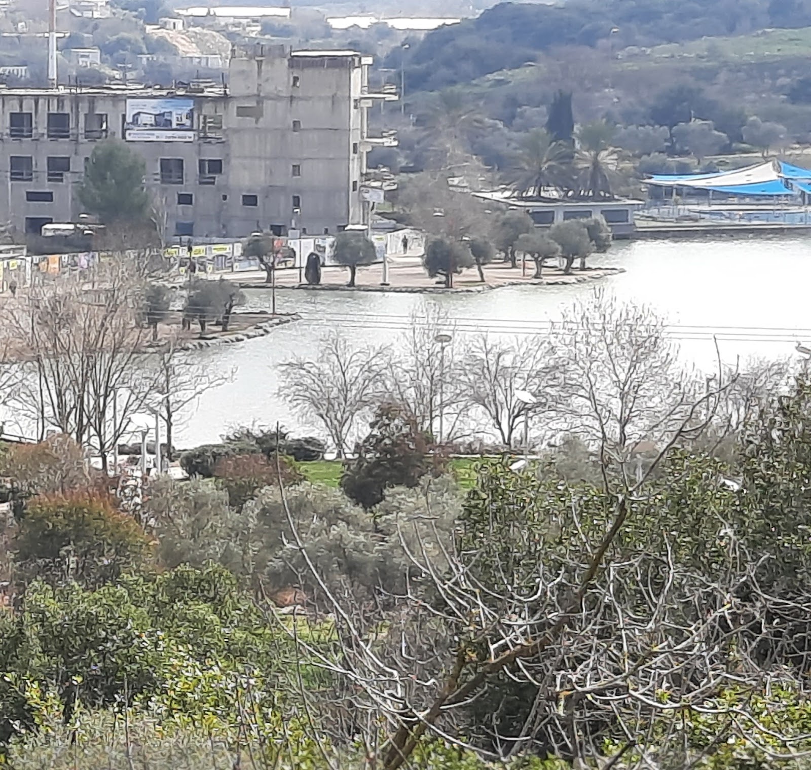 וילה רוזה גלילאה