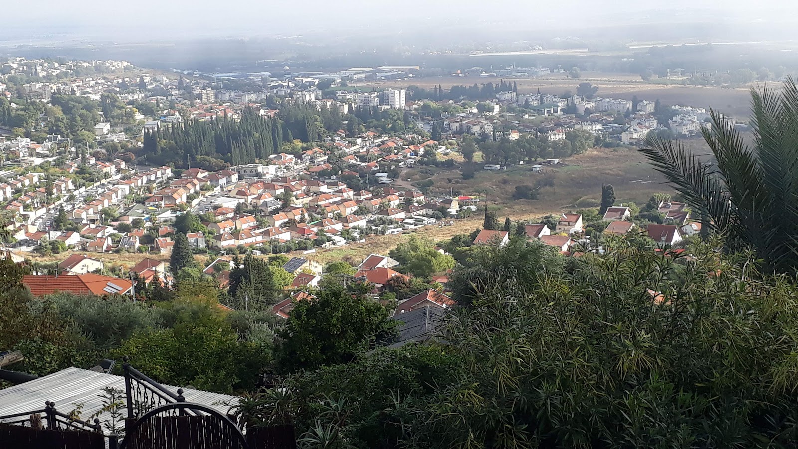 אורלי אליאס