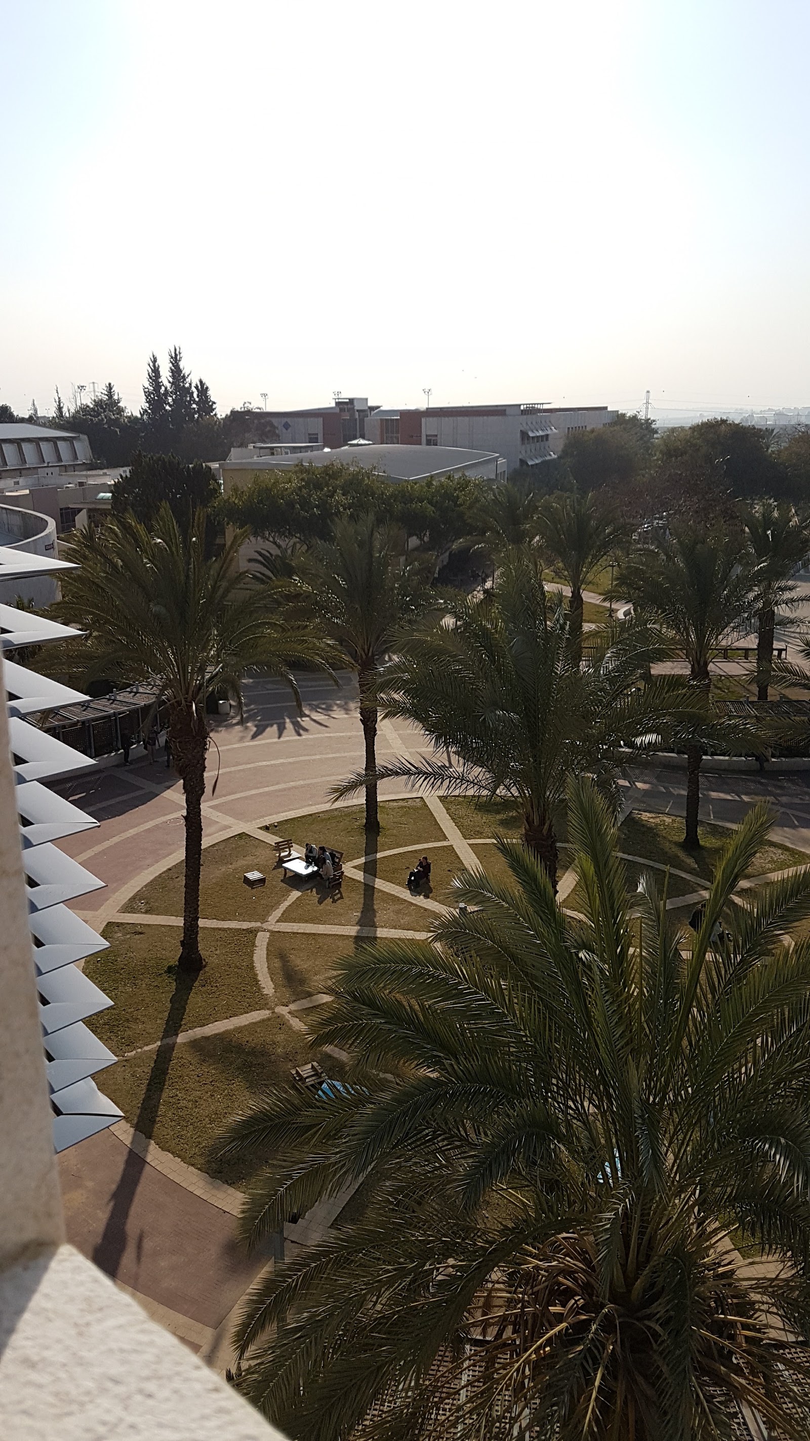 המכללה האקדמית ספיר